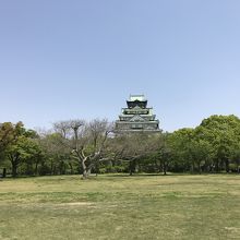 庭園と大阪城