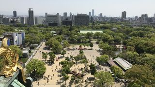 大阪城公園を一望