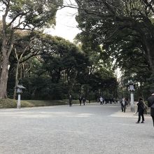 神宮内苑雰囲気