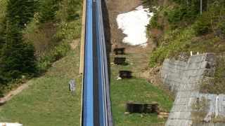 片道10分ほどで山頂に到着