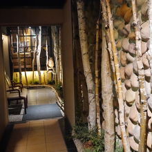 入口には白樺が並びフクロウもいました