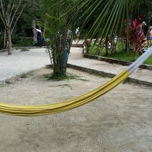 ハンモックあり