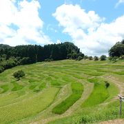 著名な棚田