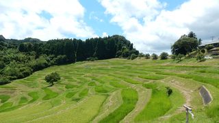 著名な棚田