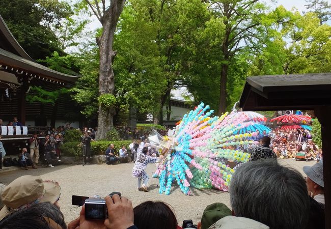 くらやみ祭 クチコミ アクセス 営業時間 国立 府中 稲城 フォートラベル