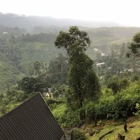 部屋からの眺め