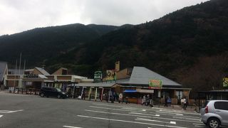 あちこちに「わさび」の商品でいっぱい