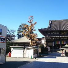 川崎警察の皆さま 大晦日は大変でしょうがお疲れさまです！