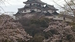 はじめての和歌山城
