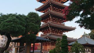 立派な五重の塔