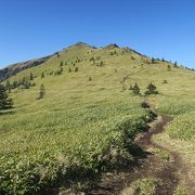 長野市からのアクセスがとてもよく、菅平の登山口からは、急登も無く登りやすい山です。