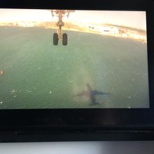 ミュンヘン-羽田間はモニター大きめ。全てタッチパネル。