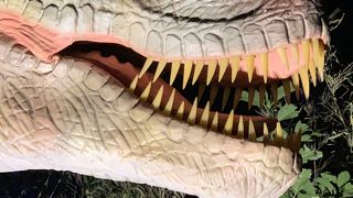 イルミネーションが最高