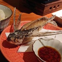 夕食に見事な羽ばたいた姿の飛び魚のフライが出ました。