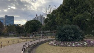 冬でも花がきれいです