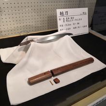 榎本武揚の流星刀