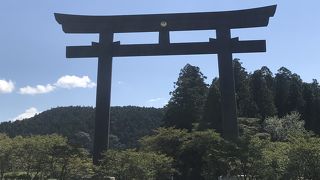 巨大な鳥居は必見