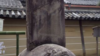 亀を撫でて自分の患部をさする