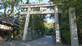 手水舎には黒うさぎ