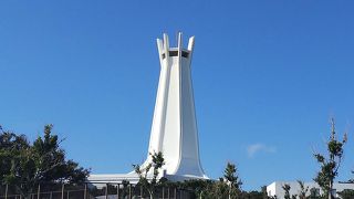 白色が目立っています