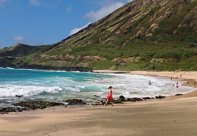 波が大きくて激しいビーチで、サーファー等が好みそうなスポット、海とココー・ヘッドの景色が絶景。