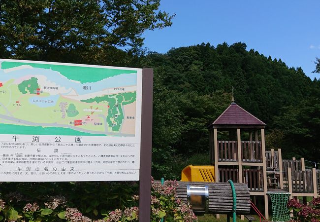 川沿いの公園