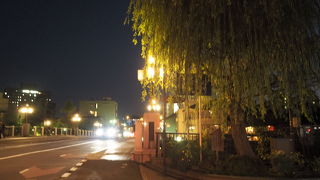 夜の浅野川大橋