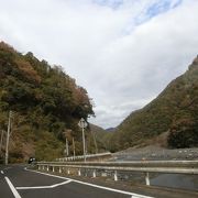 安倍川沿いを紅葉を求めてドライブしました。