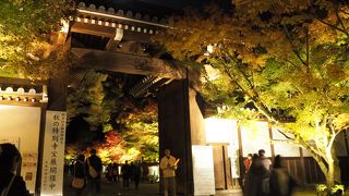 紅葉ライトアップ期間