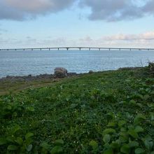 橋が見えています。