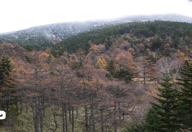 浅間山登山の途中ルート