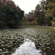 雰囲気があります