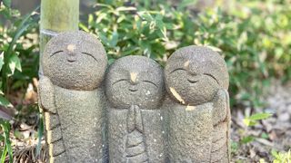 見所がたくさんあります