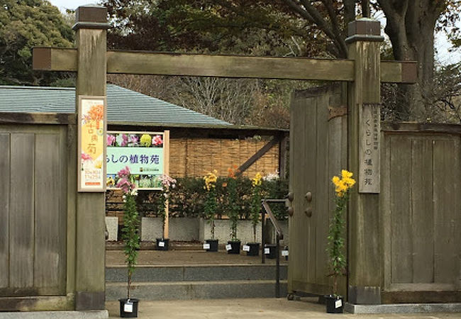 国立歴史民俗博物館 くらしの植物苑 クチコミ アクセス 営業時間 佐倉 四街道 フォートラベル 国立歴史民俗博物館 くらしの植物苑 クチコミ アクセス 営業時間 佐倉 四街道 フォートラベル