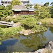 無料の庭園