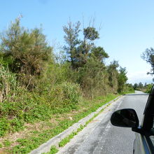 まずは道路わきの三角点を探します