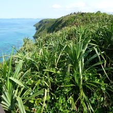 ひー絶壁！でも最高ー！！！