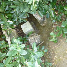 因みにこれが現場の三角点標識