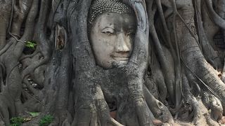 おすすめです！