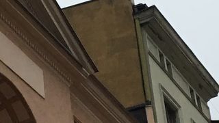屋根に猫のいる建物です。