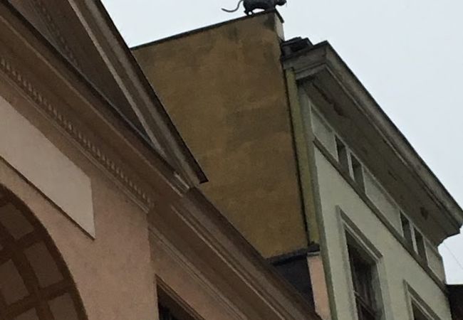 屋根に猫のいる建物です。