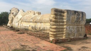 大きさに驚きました