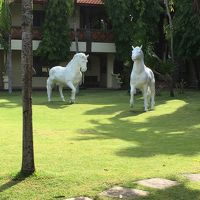 キレイで広い部屋