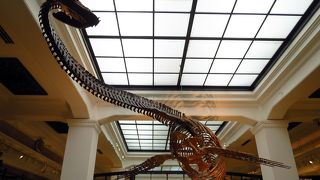 Science museum where all science was condensed, it is difficult to appreciate everything in one day