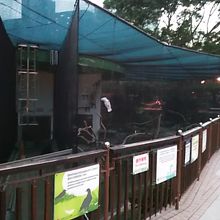 緑の公園の中にある野鳥園