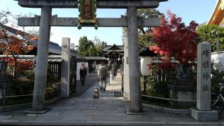 きれいに整備されていました