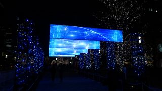 イルミネーションが施されていました