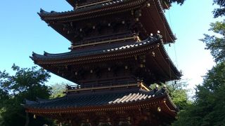 おみくじ　「凶」出現率　驚きの100％！！！！