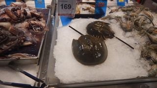 カブトガニが売られていた
