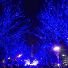 写真より実際に見た方が綺麗です